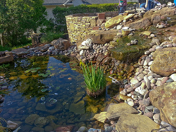 Dugie & David Graham’s Garden with extensive hardscape and water features with native plantings