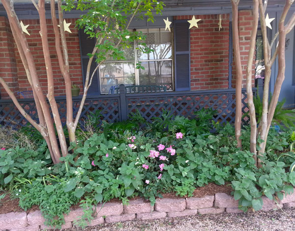 Lori Daul's inviting garden is a Gardener's Garden. 